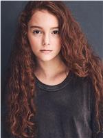 Brooke Timber