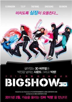 2010 Big Bang演唱会Big Show 3D在线观看和下载