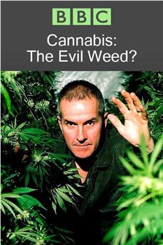 BBC 地平线系列：大麻：罪恶之种？在线观看和下载