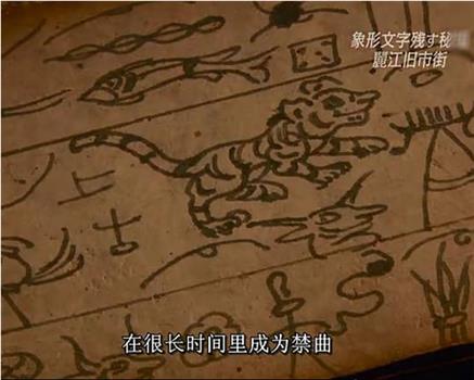 丽江旧市街-诞生东巴象形文字的秘境在线观看和下载