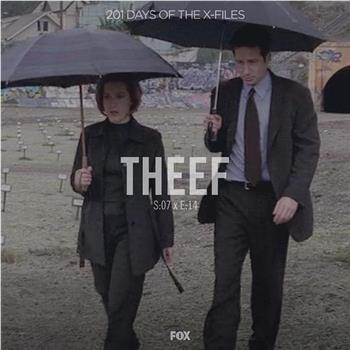 "The X Files" SE 7.14 Theef在线观看和下载