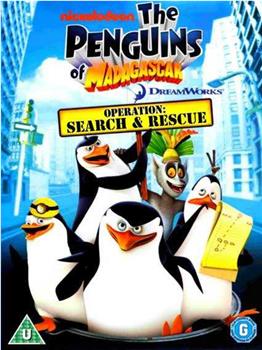 马达加斯加的企鹅  第二季在线观看和下载