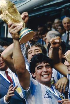 1986年墨西哥世界杯在线观看和下载