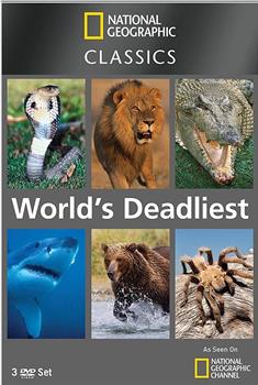 世界致命动物系列：澳大利亚篇在线观看和下载