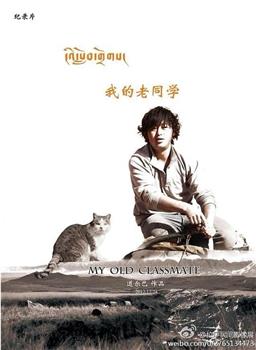我的老同学在线观看和下载