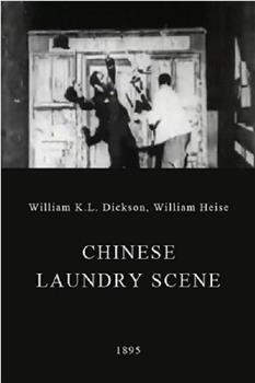 华人洗衣店场景在线观看和下载