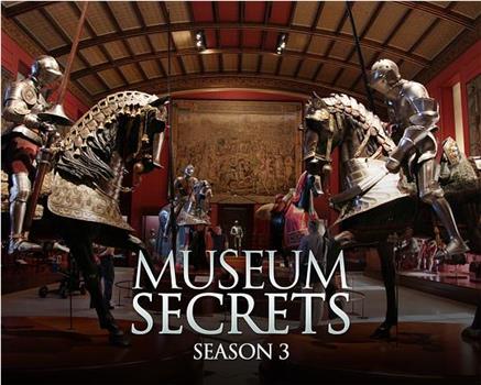 博物馆之谜 第三季在线观看和下载