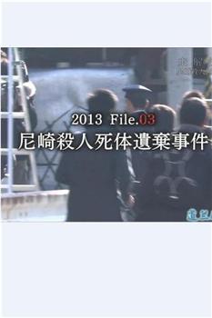 未解決事件File.03尼崎連続殺人死体遺棄事件在线观看和下载