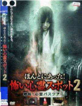 ほんとにあった！怖い心霊スポット 2 絶叫!心霊バスツアー!!在线观看和下载