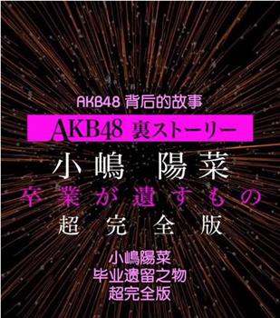 AKB48背后的故事特别篇 小嶋阳菜毕业遗留之物在线观看和下载