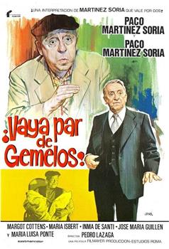 ¡Vaya par de gemelos!在线观看和下载