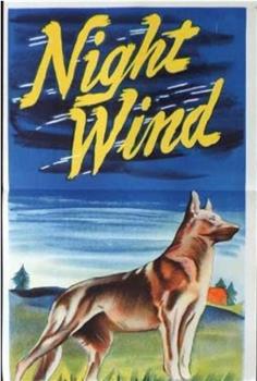 Night Wind在线观看和下载