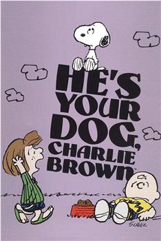 你的狗，查理·布朗在线观看和下载