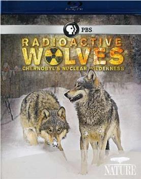核辐射下的狼群在线观看和下载