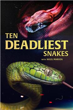 十大毒蛇 第三季在线观看和下载