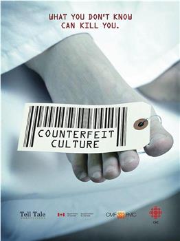 Counterfeit Culture在线观看和下载