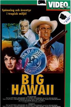 Big Hawaii在线观看和下载