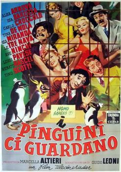 I pinguini ci guardano在线观看和下载