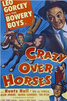 Crazy Over Horses在线观看和下载