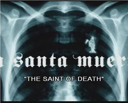 La Santa Muerte在线观看和下载