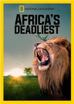非洲致命动物在线观看和下载
