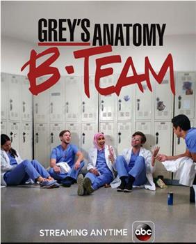 Grey's Anatomy: B-Team Season 1在线观看和下载