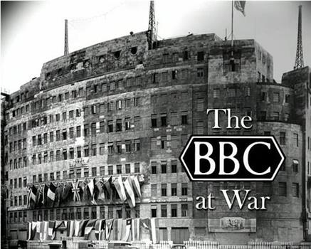 战火中的BBC在线观看和下载
