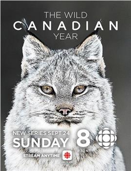 加拿大的狂野年轮 第一季在线观看和下载