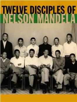 Twelve Disciples of Nelson Mandela在线观看和下载