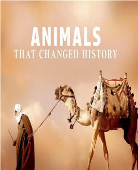 改变历史的动物在线观看和下载