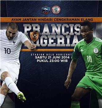 2014世界杯1/8决赛法国VS尼日利亚在线观看和下载