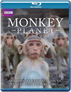 猩猿星球 第一季在线观看和下载