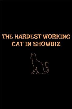 好莱坞最勤劳的猫在线观看和下载