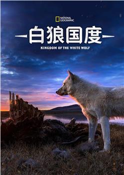 雪狼王国 第一季在线观看和下载