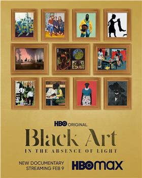 Black Art: In the Absence of Light在线观看和下载