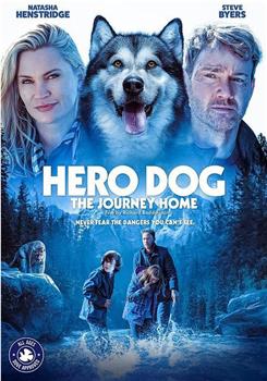 Hero Dog: The Journey Home在线观看和下载