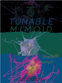 TUNABLE MIMOID在线观看和下载