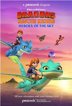 Dragons Rescue Riders: Heroes of the Sky在线观看和下载