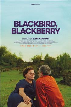 Blackbird Blackbird Blackberry在线观看和下载