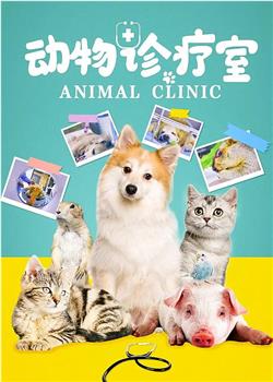 动物诊疗室在线观看和下载