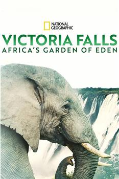 维多利亚瀑布：非洲的伊甸园在线观看和下载