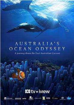 Australia's Ocean Odyssey: A Journey Down the East Australian Current Season 1在线观看和下载