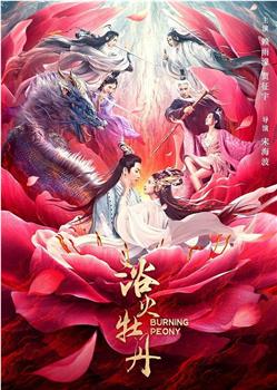 浴火牡丹在线观看和下载