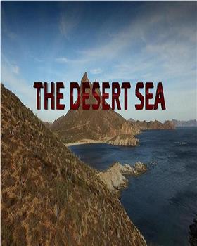 沙漠之海在线观看和下载