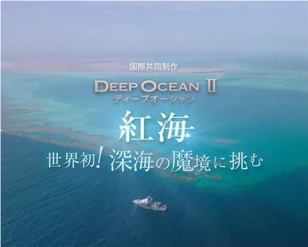 ディープオーシャンⅡ 紅海 ～世界初！深海の魔境に挑む～在线观看和下载