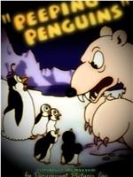 Peeping Penguins