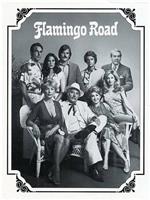 Flamingo Road