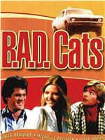 B.A.D. Cats