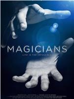 魔术师：不可能的生活magnet磁力分享