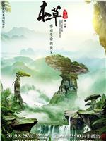 本草中国 第二季